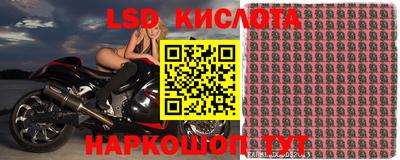 бошки Гусев
