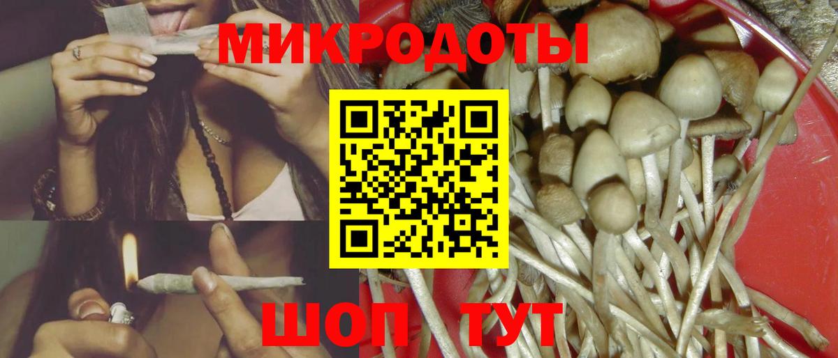 Псилоцибиновые грибы Cubensis Ухта