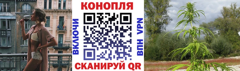 Шишки марихуана тримм MEGA маркетплейс Ухта